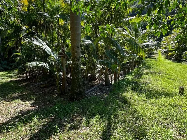 Imagem 2: TERRENO, Testo Rega, Pomerode - SC