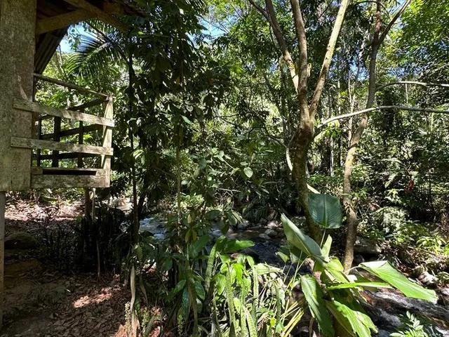 Imagem 5: TERRENO, Testo Rega, Pomerode - SC