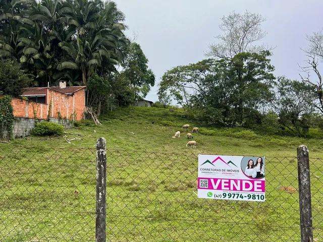 Imagem 3: Terreno - Testo Rega, Pomerode Sc