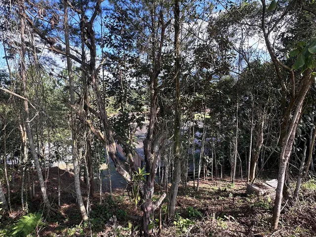Imagem 6: Terreno, Ribeirão Areia, Pomerode - Sc