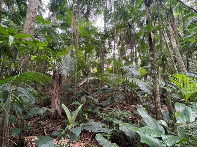 Imagem 4: Chacará - Testo Rega, Pomerode Sc