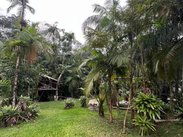 Imagem 13: Chacará - Testo Rega, Pomerode Sc