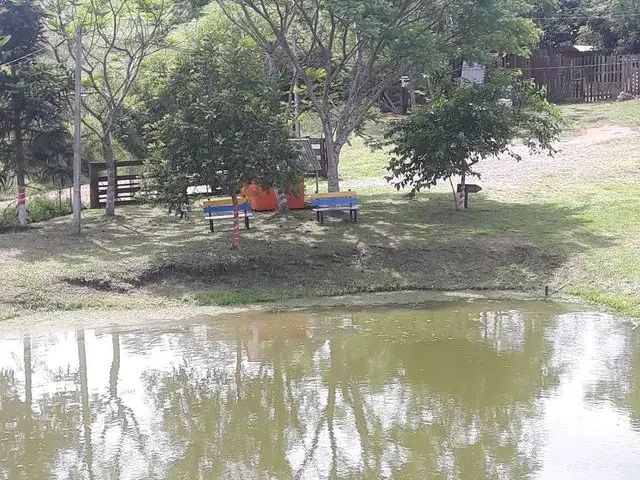 Imagem 4: Oportunidade Pesque Pague Montado!!!