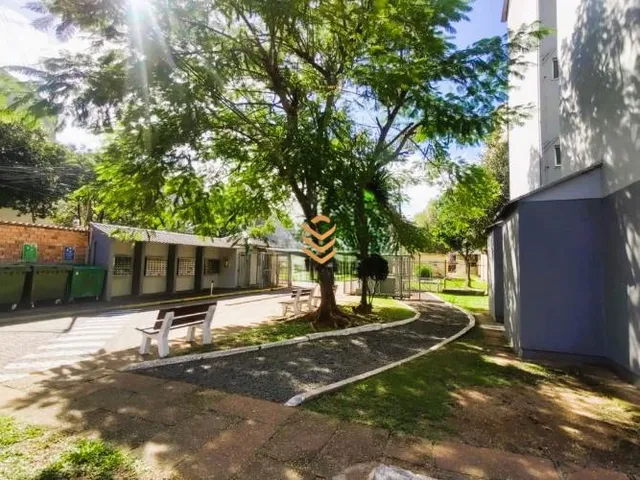 Imagem 15: Imóvel à venda: Apartamento no Condomínio Flamboyan, com possibilidade de