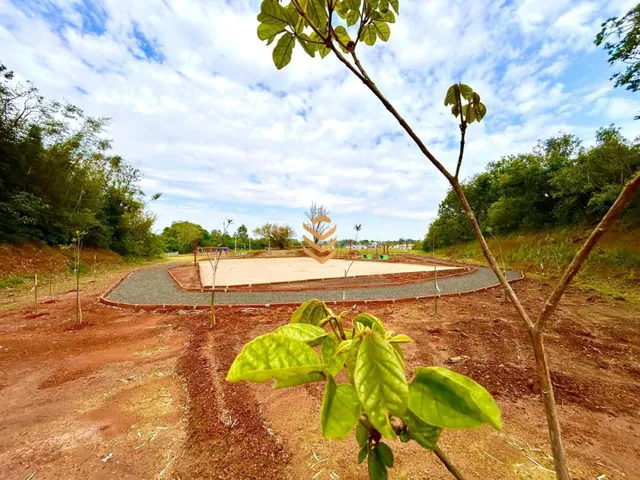 Imagem 16: Lotes com infraestrutura completa prontos para a venda