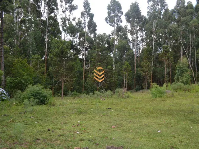 Imagem 3: Área de 1,3 Hectares em Cambará do Sul