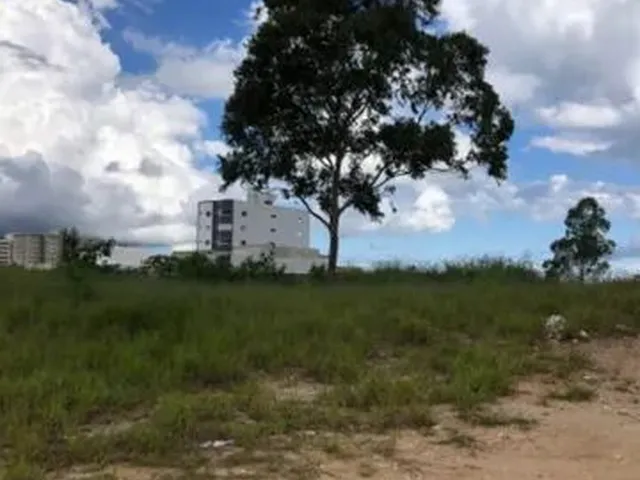 Imagem 1: Excelente Oportunidade