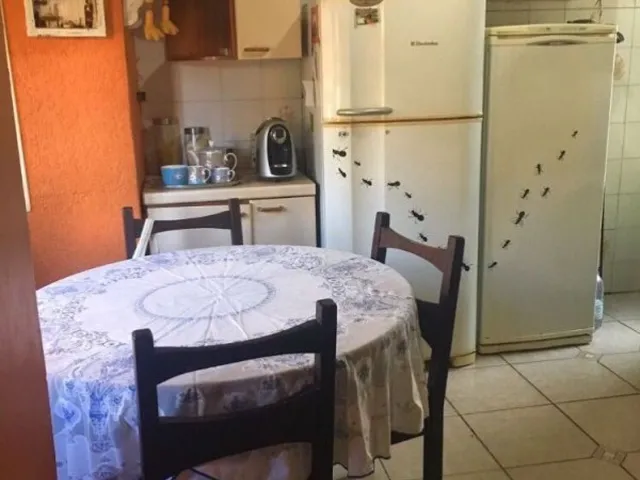 Imagem 2: CASA COM 3 DORMITÓRIOS - CRISTAL - PORTO ALEGRE/RS