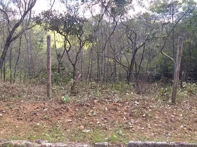 Imagem: Lote Pasárgada
