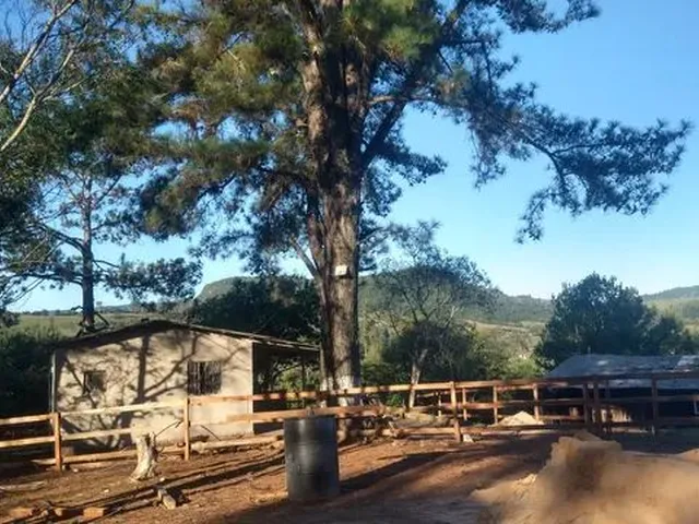 Imagem: Vendo Sítio com Casa em Morungava de Frente