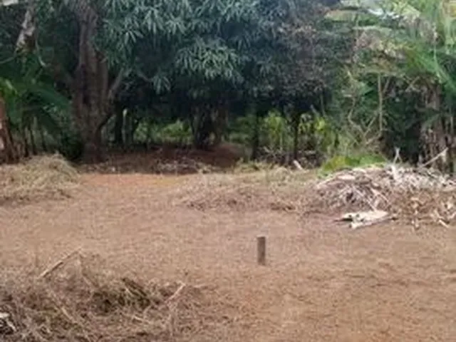 Imagem: Sitio
