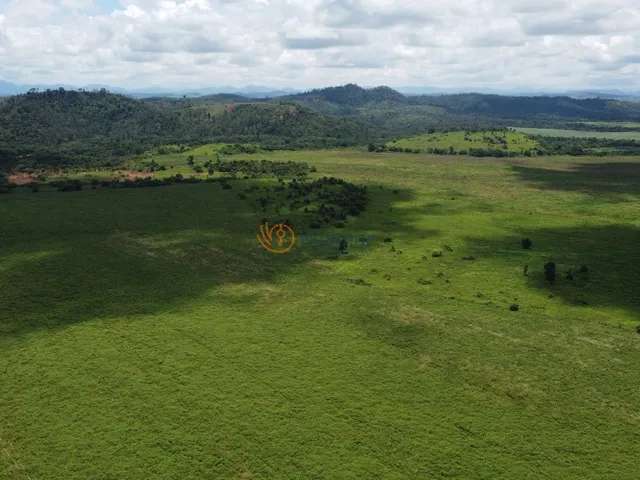 Imagem 3: Extraordinária Fazenda em Minas Gerais, Zona da Mata, Santa Amélia, Belo Horizonte