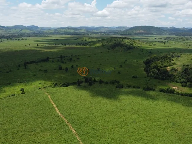 Imagem 4: Extraordinária Fazenda em Minas Gerais, Zona da Mata, Santa Amélia, Belo Horizonte