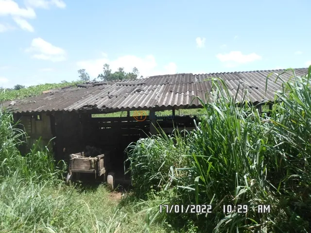 Imagem 9: Extraordinária Fazenda em Minas Gerais, Zona da Mata, Santa Amélia, Belo Horizonte
