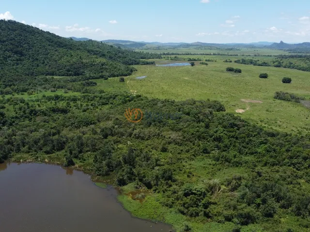Imagem 6: Extraordinária Fazenda em Minas Gerais, Zona da Mata, Santa Amélia, Belo Horizonte