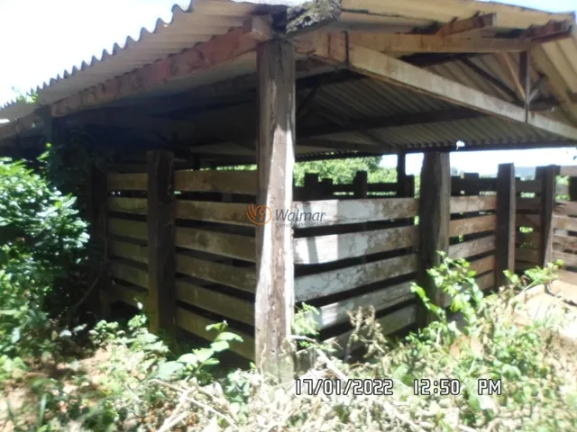 Imagem 1: Extraordinária Fazenda em Minas Gerais, Zona da Mata, Santa Amélia, Belo Horizonte