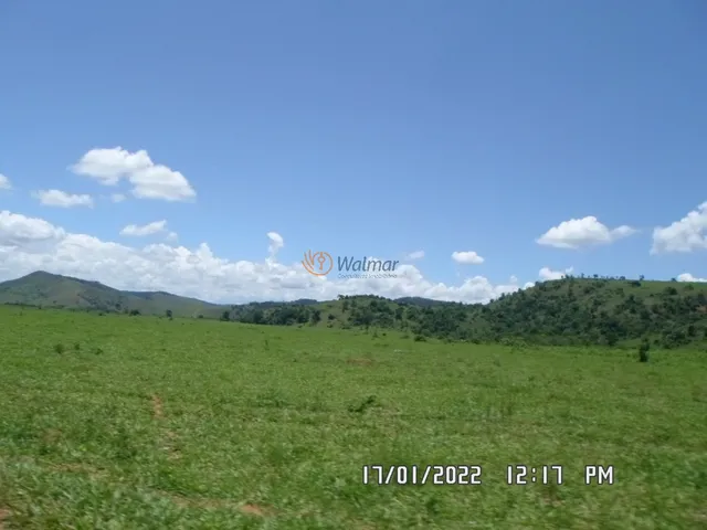 Imagem 7: Extraordinária Fazenda em Minas Gerais, Zona da Mata, Santa Amélia, Belo Horizonte