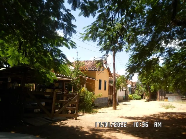 Imagem 2: Extraordinária Fazenda em Minas Gerais, Zona da Mata, Santa Amélia, Belo Horizonte