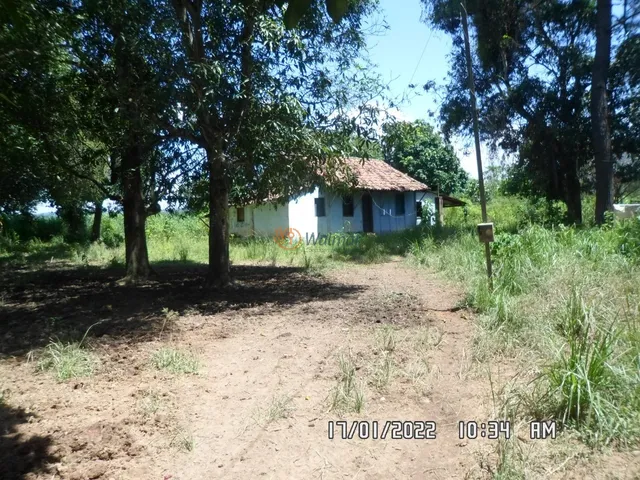 Imagem 8: Extraordinária Fazenda em Minas Gerais, Zona da Mata, Santa Amélia, Belo Horizonte