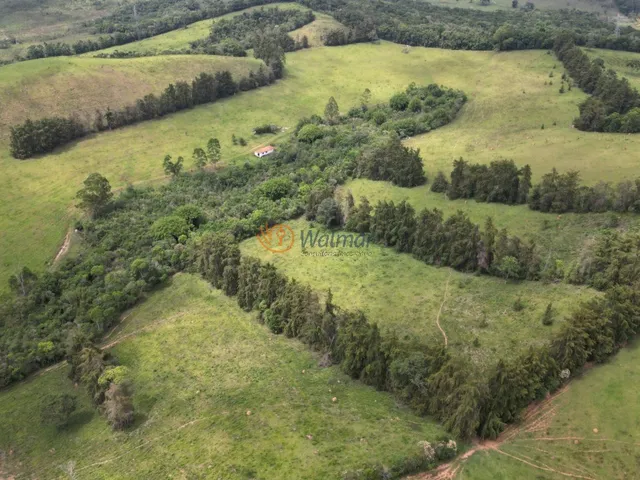 Imagem: Fazenda com 540 há em Antônio Carlos MG