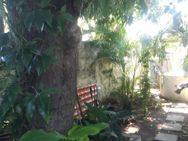 Imagem 2: No Centro de Itaparica linda casa colonial