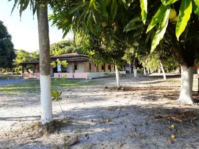Imagem 4: Sitio, salinas Fazenda / sítio com 6 dormitórios