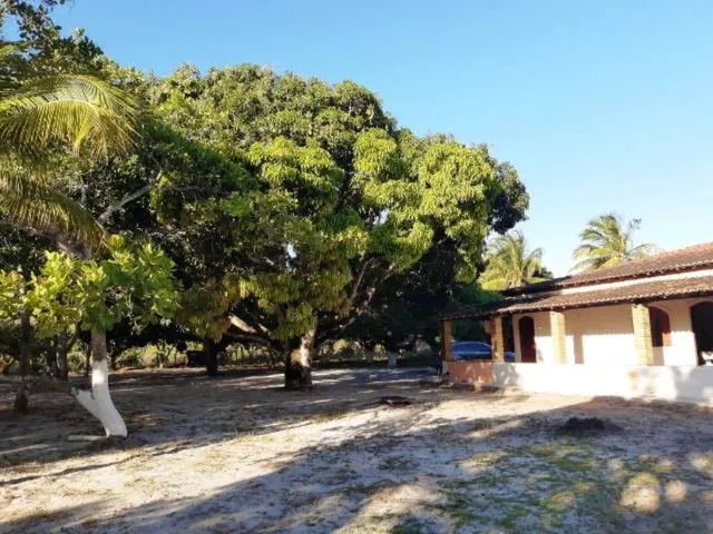 Imagem 1: Sitio, salinas Fazenda / sítio com 6 dormitórios