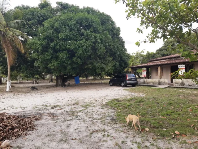 Imagem 7: Sitio, salinas Fazenda / sítio com 6 dormitórios