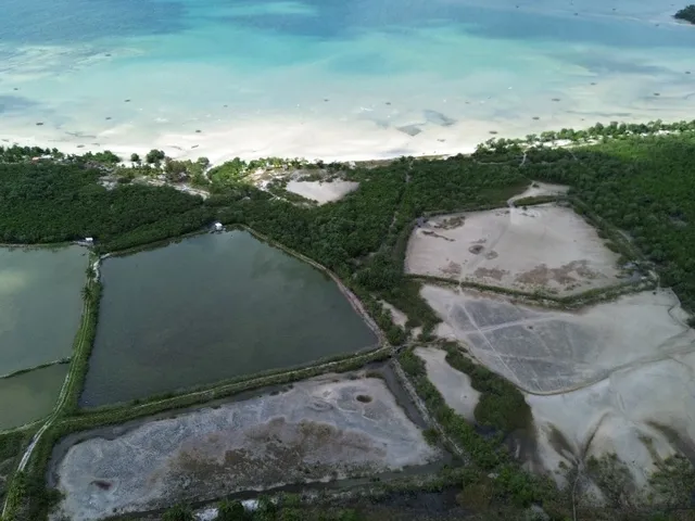 Imagem 8: Sitio, salinas Fazenda / sítio com 6 dormitórios