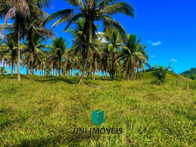 Imagem 8: Área rural à venda próxima à BR 101 em Jabaquara ? 20.000 m² a 10 minutos da rota