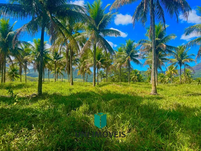 Imagem 3: Área rural à venda próxima à BR 101 em Jabaquara ? 20.000 m² a 10 minutos da rota