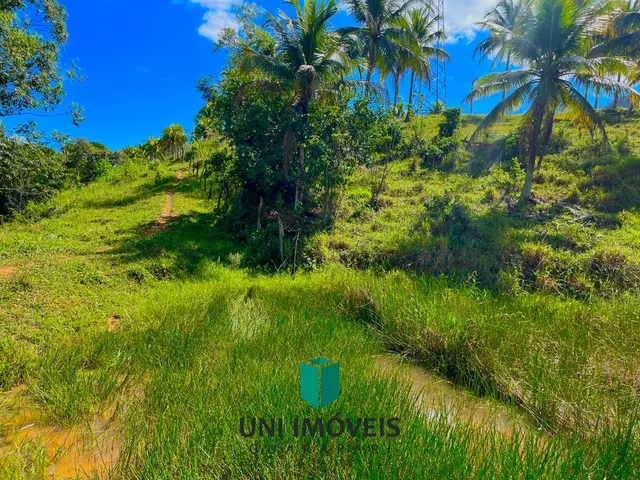 Imagem 14: Área rural à venda próxima à BR 101 em Jabaquara ? 20.000 m² a 10 minutos da rota