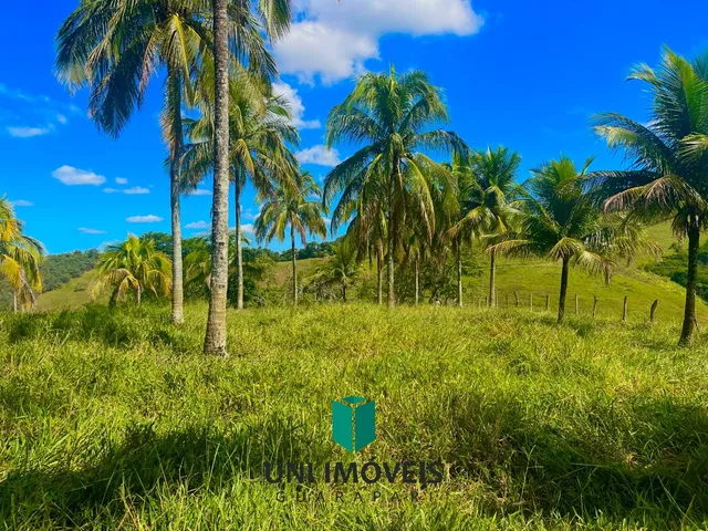 Imagem 11: Área rural à venda próxima à BR 101 em Jabaquara ? 20.000 m² a 10 minutos da rota
