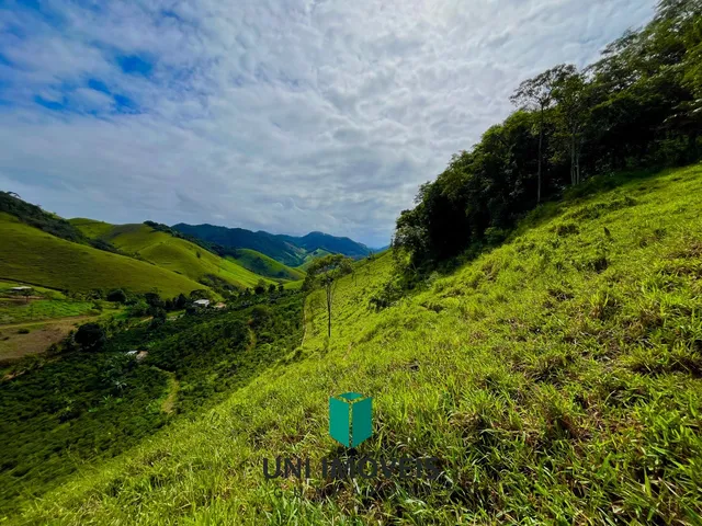 Imagem 8: Área rural à venda na Reta Grande a 4km da rota da ferradura em Guarapari - Excelente