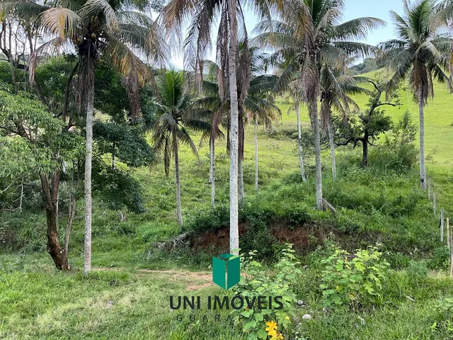 Imagem 16: Área rural à venda com curso d'água e platô pronto em Cachoeirinha, Guarapari