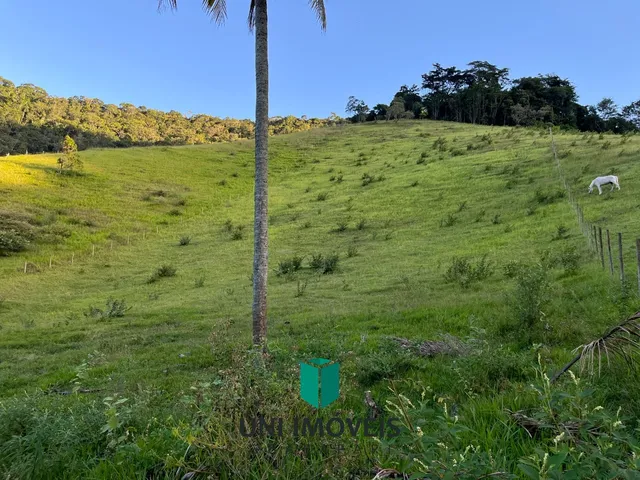 Imagem 6: Área rural à venda em Cachoeirinha, Guarapari - Privacidade e natureza