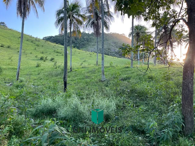 Imagem 15: Área rural à venda em Cachoeirinha, Guarapari - Privacidade e natureza