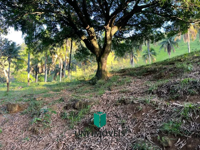 Imagem 2: Área rural à venda em Cachoeirinha, Guarapari - Privacidade e natureza
