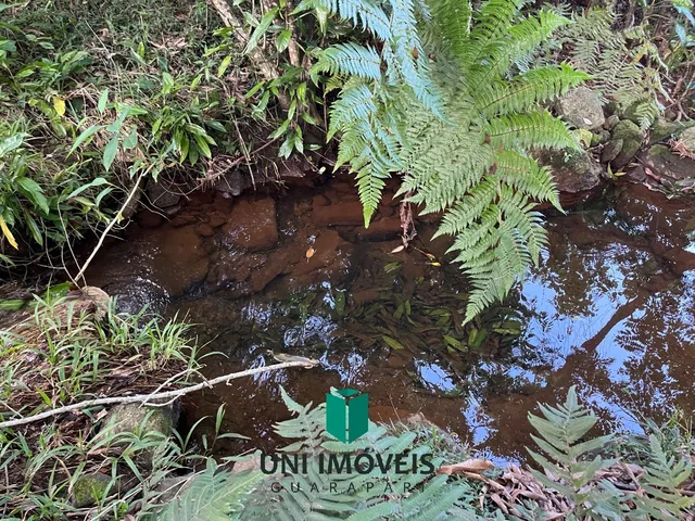 Imagem 10: Área rural à venda em Cachoeirinha, Guarapari - Privacidade e natureza