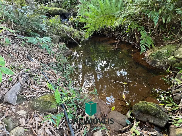 Imagem 16: Área rural à venda em Cachoeirinha, Guarapari - Privacidade e natureza