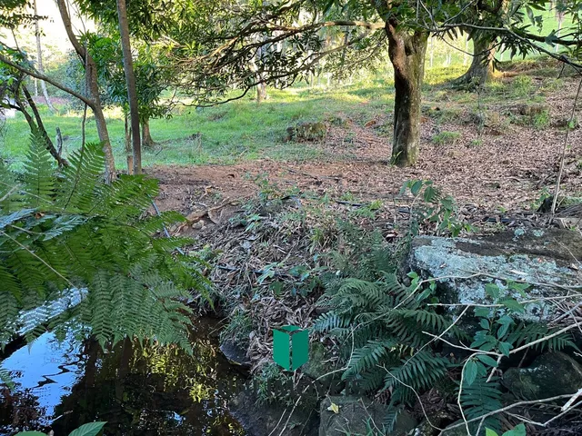 Imagem 3: Área rural à venda em Cachoeirinha, Guarapari - Privacidade e natureza