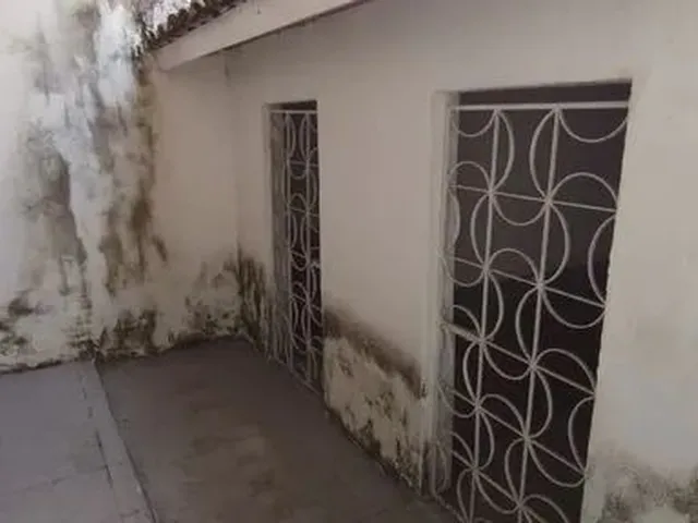 Imagem 12: Casa Ampla com 3 Quartos para Aluga, Próximo Ao Lago Jacarey - Ca48027