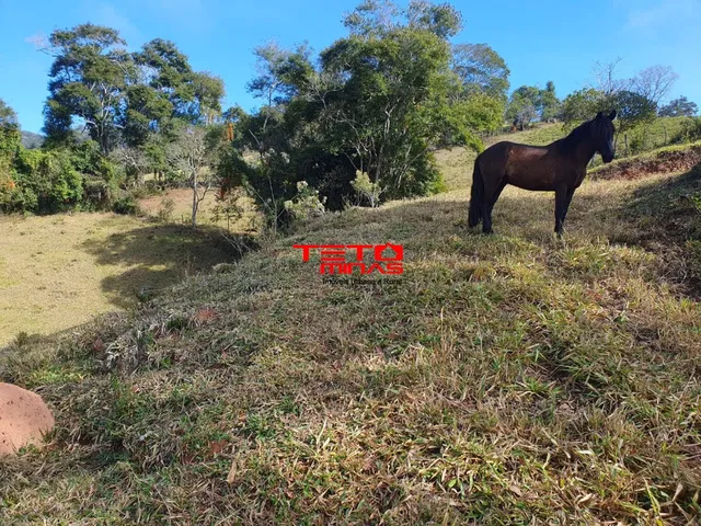 Imagem 4: CHACARA RURAL em SOLEDADE DE MINAS - MG, SOLEDADE DE MINAS