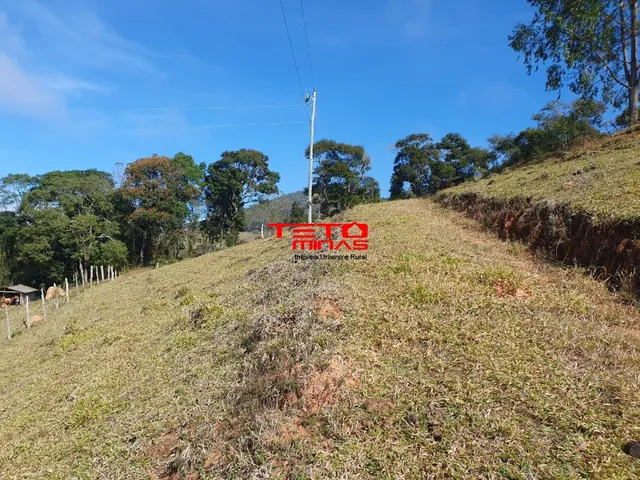 Imagem 5: CHACARA RURAL em SOLEDADE DE MINAS - MG, SOLEDADE DE MINAS