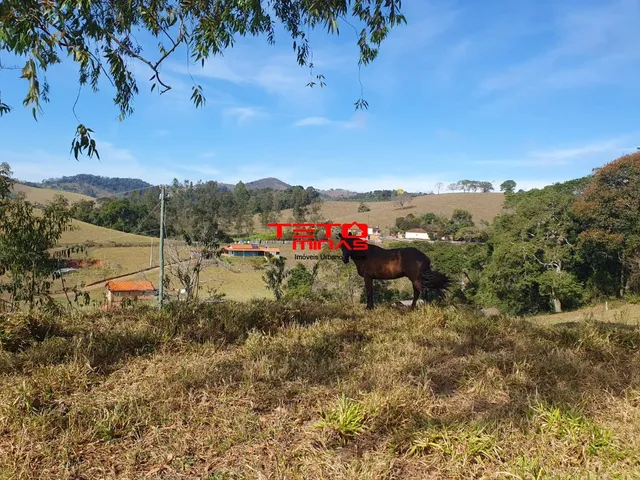 Imagem 6: CHACARA RURAL em SOLEDADE DE MINAS - MG, SOLEDADE DE MINAS