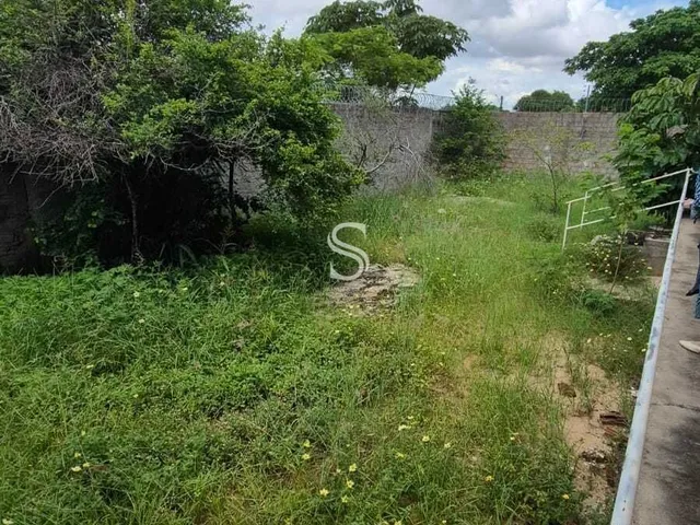 Imagem 5: Casa em Piçarreira, Teresina/PI