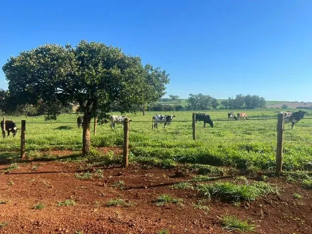 Imagem: Sitio em Uberaba 24 Alqueirão 12.000.000.00