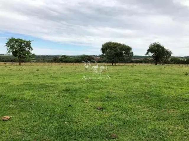 Imagem 7: Sitio em Uberaba 24 Alqueirão 12.000.000.00 ( Ja