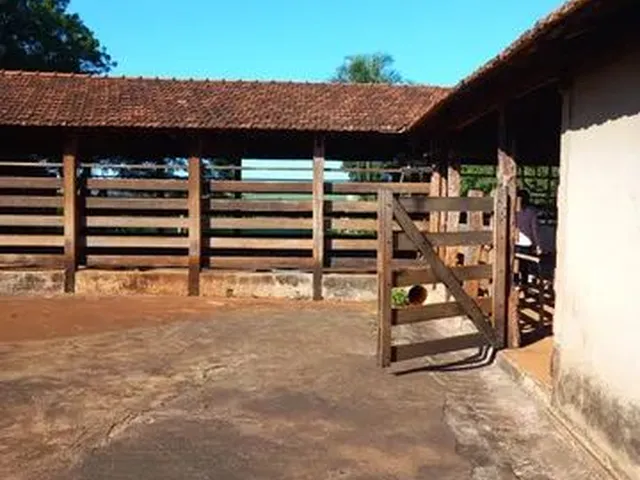 Imagem 4: Sitio em Uberaba 24 Alqueirão 12.000.000.00 ( Ja