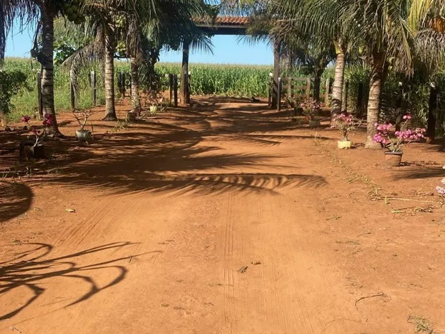 Imagem 8: CHACARA RURAL em NOVA MUTUM - MT, chácara